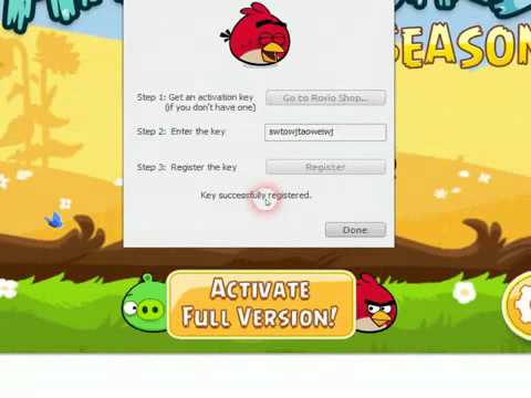 Angry birds pc serial key free